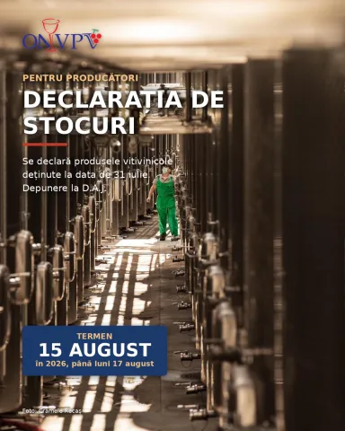 Declarația de stocuri